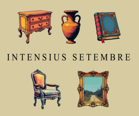 Aquest Setembre repetim cursos intensius! Encara ets a temps!